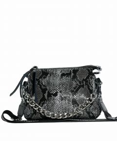 POLLINA & EITEROU PYTHON 